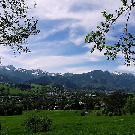 Quality House - Cisza Nad Dolina Villa Zakopane Bagian luar foto